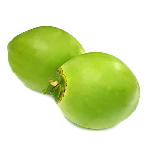 Tender Coconut Paniwala